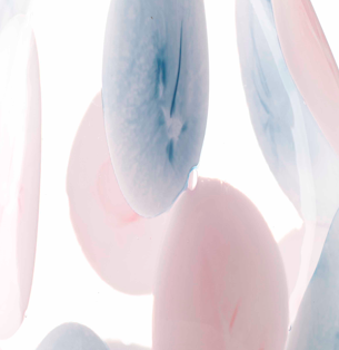 Cotton Candy