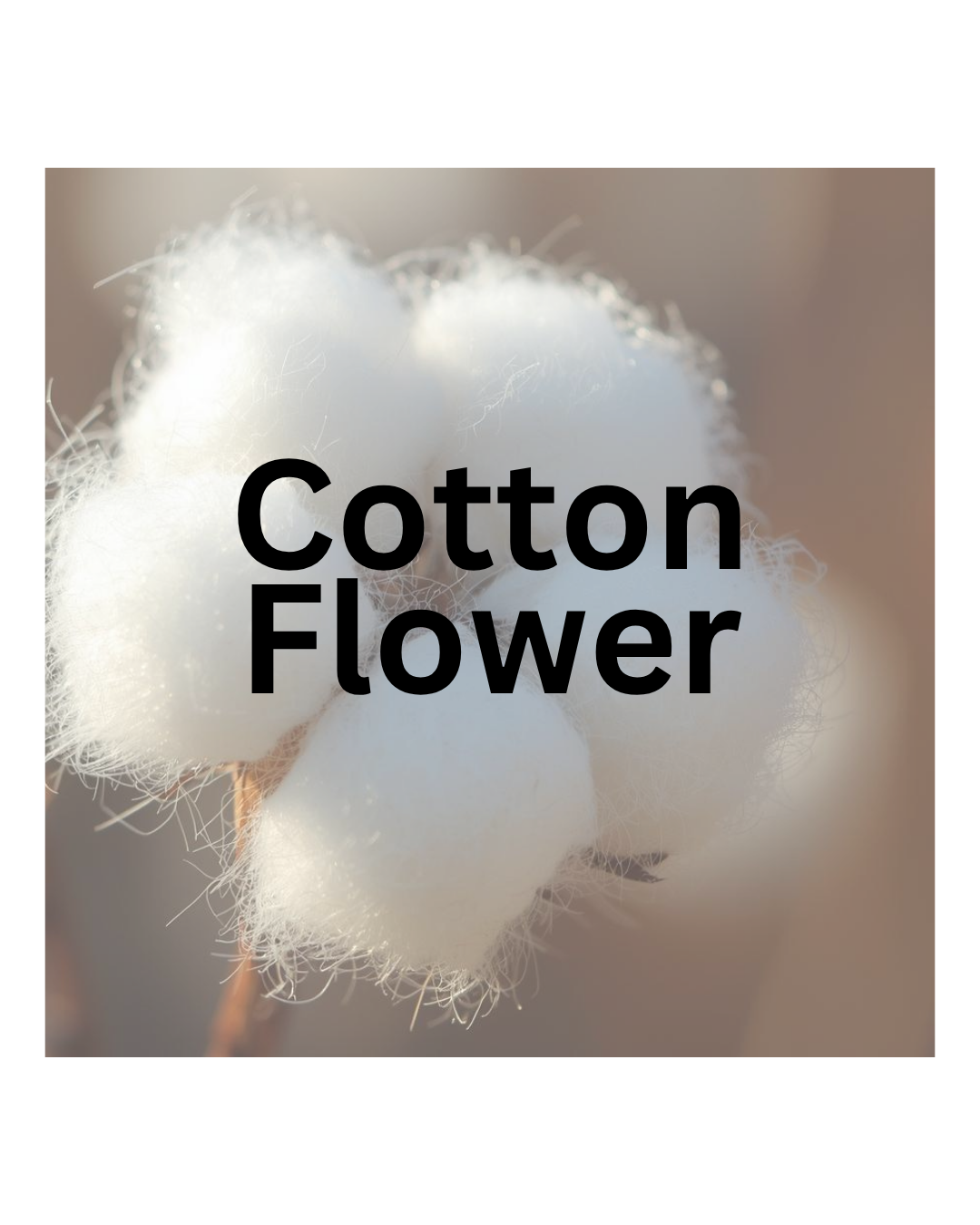250ml Fragrance Oil for Reed Diffusers